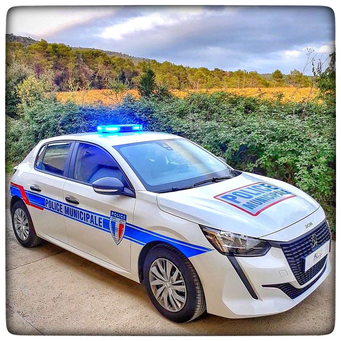 Peugeot 208 Police Municipale Saint Jory RAS DISTRIBUTION