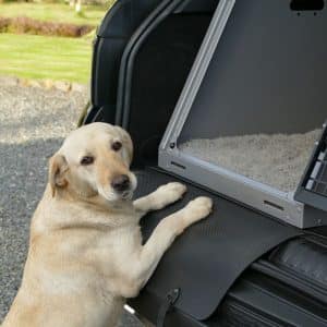 Tapis de Protection pour Cages de Transport 2 Chiens